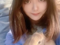 -猫猫幼稚园·撸猫·桌游·电玩