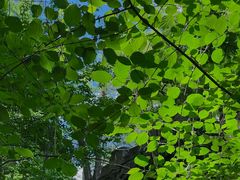 -国家植物园南园