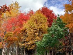 -长白岛森林公园