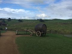 -怀托摩萤火虫洞