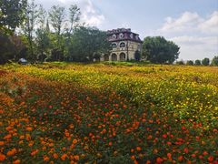 -雅和睿景·商务宴·风味土窑鸡(花博汇店)