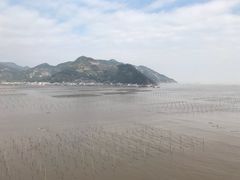 -北岐滩涂