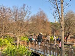 -五缘湾湿地公园