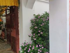 -尼玛藏家风味园(阿山食城店)