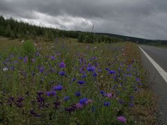 -塞罕坝国家级自然保护区