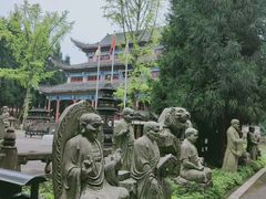 -武陵山森林公园