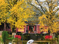 -佛荫寺