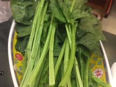 -芦月轩羊蝎子(北蜂窝店)