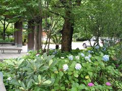 -西湖风景区-江洋畈生态公园