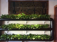 -孙三拨按摩拨筋(五一路店)