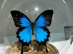 -蝴蝶泉公园