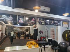 -温鉴良实用咏春拳