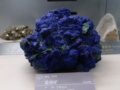 -中国地质博物馆