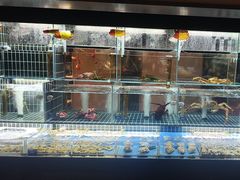 -苏淮景·苏闽融创菜·海鲜(原空港井河轩店)