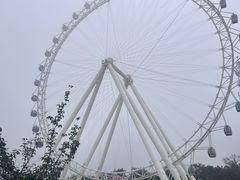 -日照海滨国家森林公园