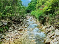 -姑婆山旅游区