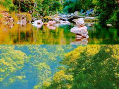 -广州市石门国家森林公园
