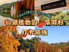 -深圳市中科院仙湖植物园