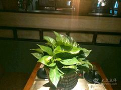 -手选潮汕鲜活牛肉火锅(二七广场店)