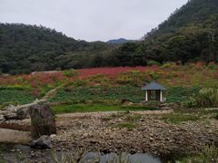 -广州市石门国家森林公园