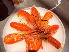 -红盔甲·小龙虾(人民广场店)