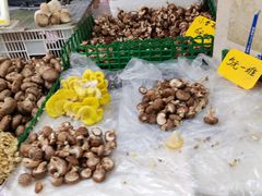 -五里多农博广场