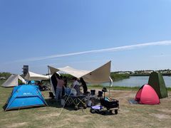 -春花秋色城市公园