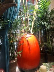 -渼树MSUTREE连锁沙龙