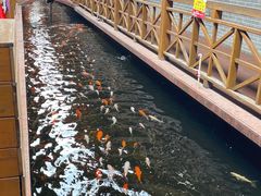 -侠成水上农庄(工业大道店)