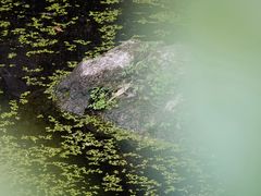 -幕燕滨江·长江观音景区