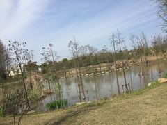 -上海长兴岛郊野公园