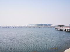 -天津金海湖