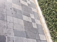-湖锦酒楼·旗舰店(三阳总店)