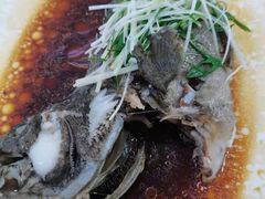 椒麻葱香海斑鱼-锦粤宫·精致粤菜(深圳北站店)