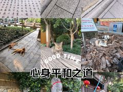 -龙华寺