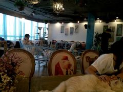 大堂-共舞时光猫咖·狗咖(新街口店)