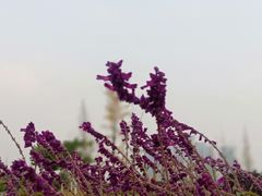-府河摄影公园