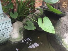 -江天生态园餐厅