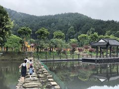 -黄陂区野村谷景区