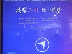 -圣爵菲斯大酒店(长沙世界之窗店)