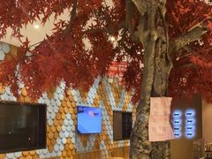 -韩京炭火烤肉自助料理(柯桥万达店)