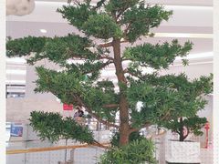 -凯德广场(学府店)