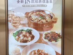 -美心皇宫(屯门大会堂店)