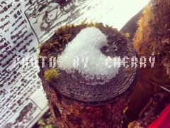 -硗碛藏寨·神木垒景区