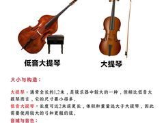 -MusicLife音乐(浦东校区)
