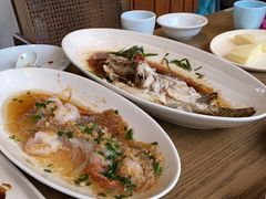 -日出青木