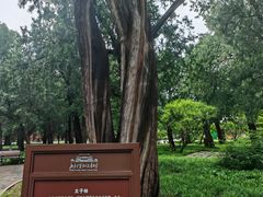 -北京市劳动人民文化宫(太庙)