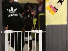 -百好乐宠物友好餐厅(朝外大街店)