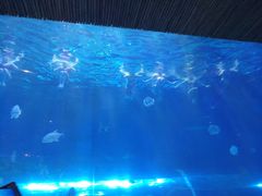 -华夏文旅西安度假区