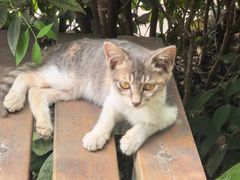 -君之悦·影院式足道·养生SPA(回兴店)